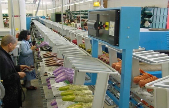 Shoe Conveyor with Single Chains
