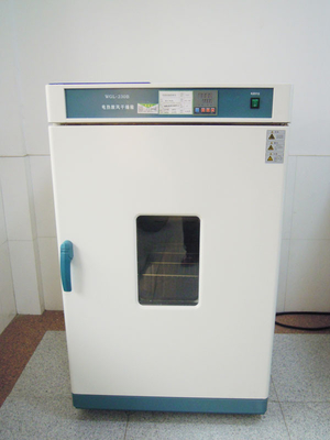 Laboratory Testing Equipment , Electro-thermal Blast Drying Oven